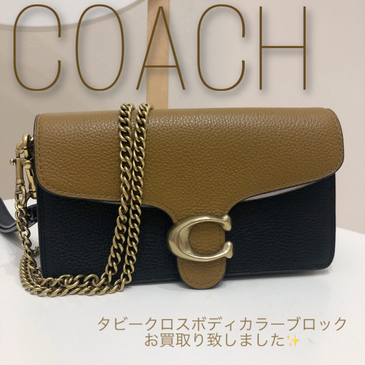 coach コーチ タビークロスボディ カラーブロック - 折り財布