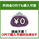クレジット 分割