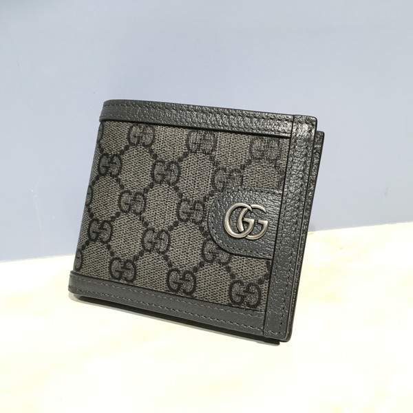 GUCCI（グッチ）597609 オフィディア GGスプリームキャンバス