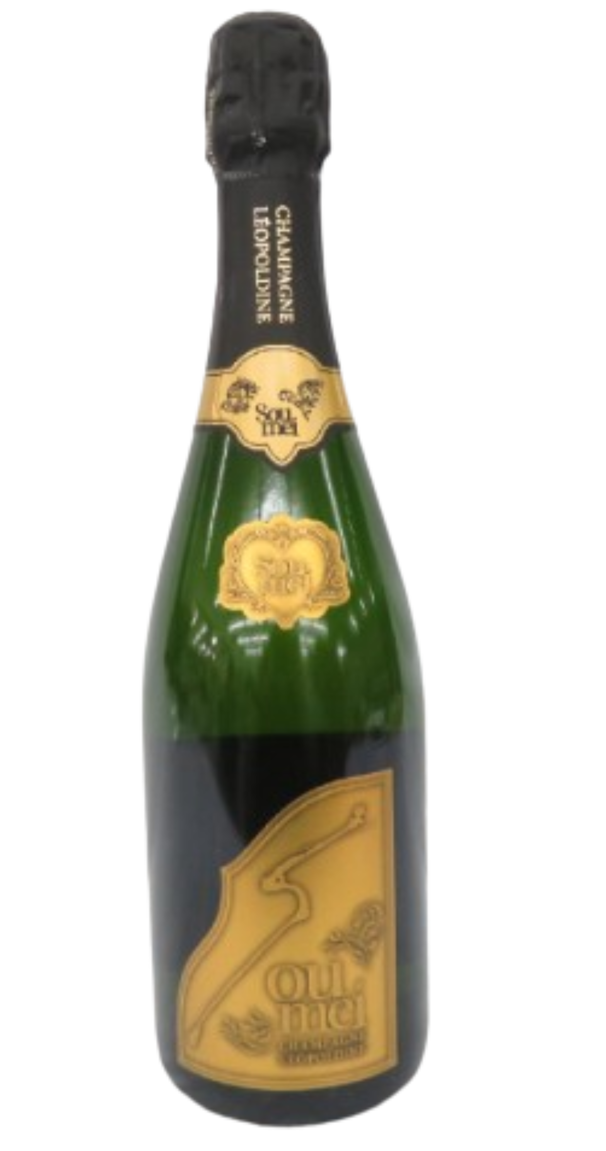 ソウメイ-removebg-preview (1)