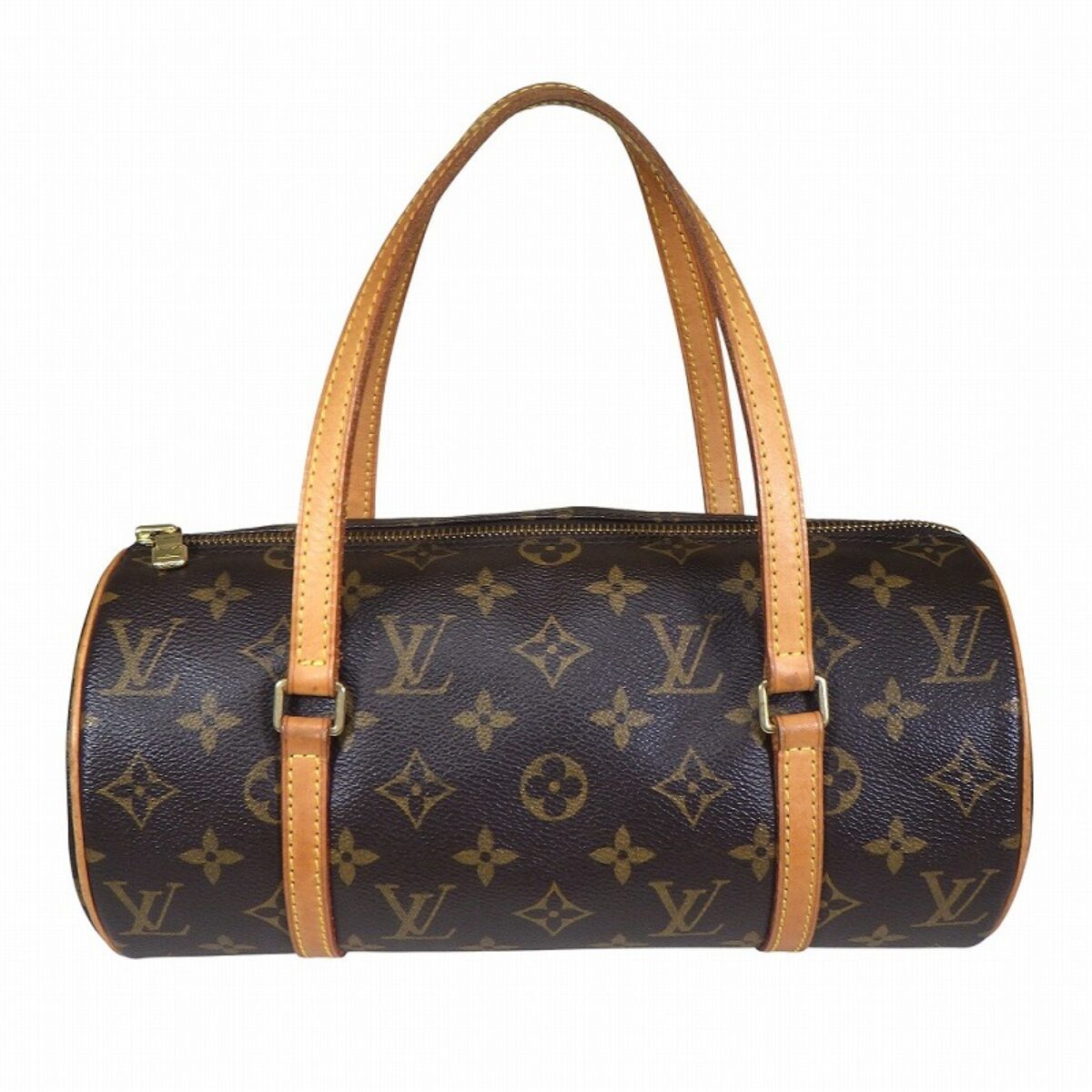 パピヨン26_kk2501809-1