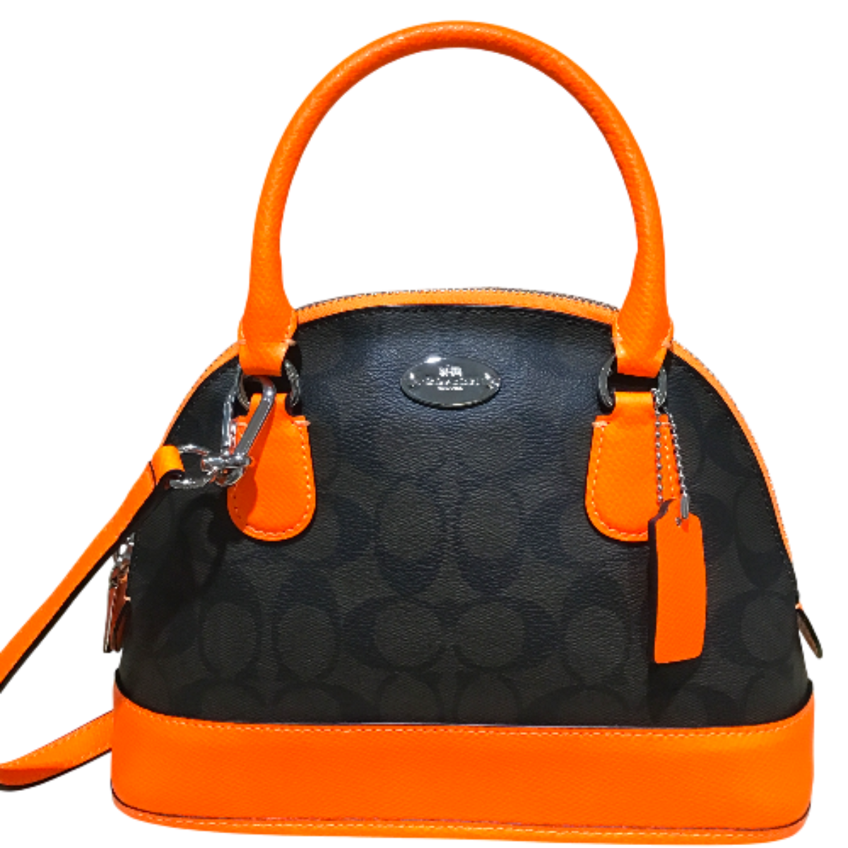 transparent-Photoroom (18)