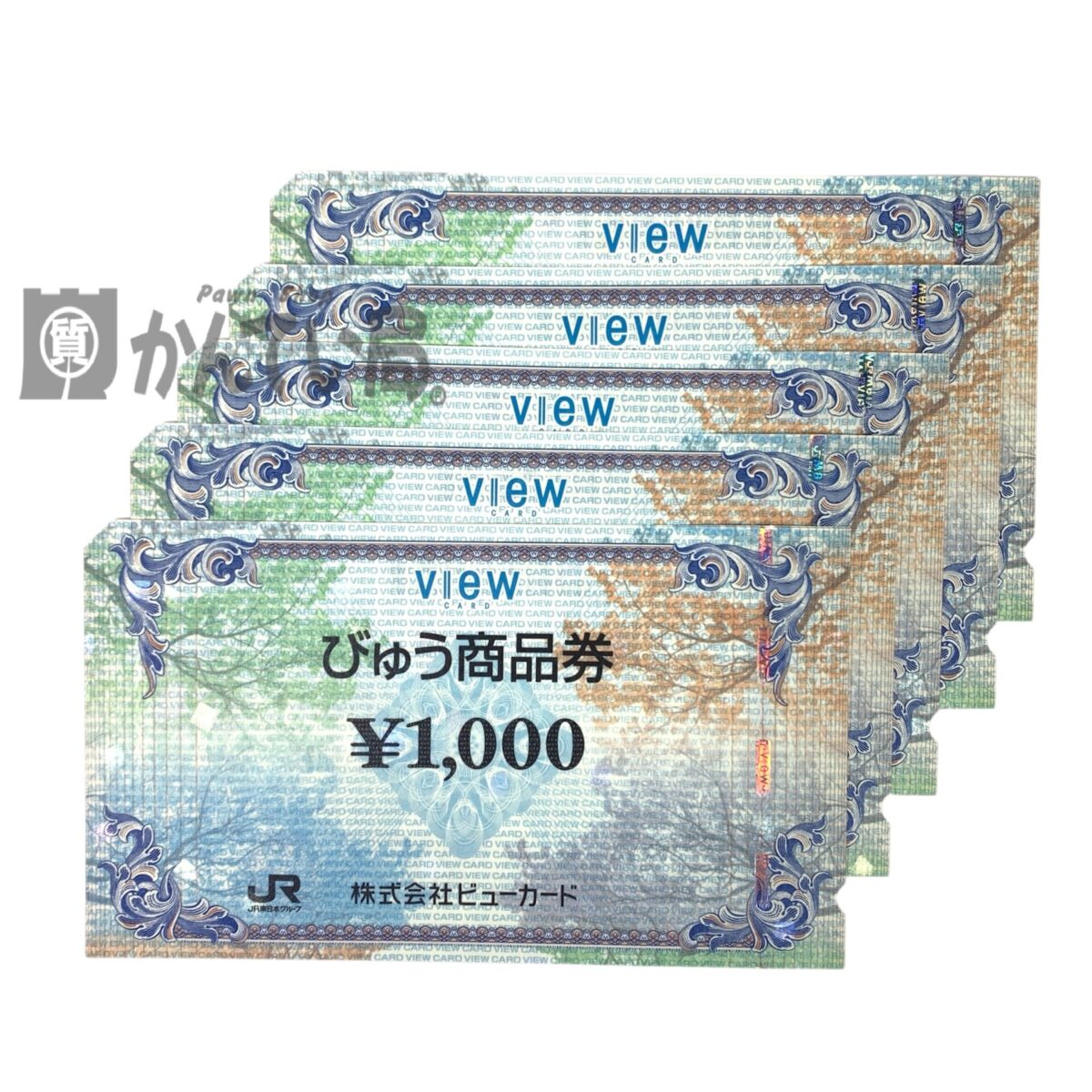 Photoroom_20260202_135059