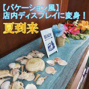 ハイビスカスひまわり
