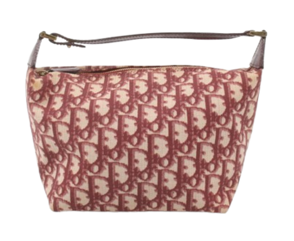 Trotter Vanity Handbag2