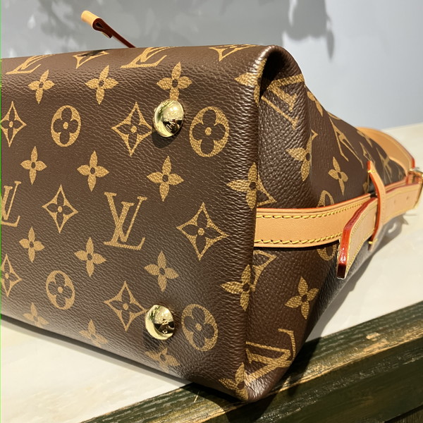 LOUIS VUITTON (ルイ・ヴィトン) M46203 キャリーオールNM PM