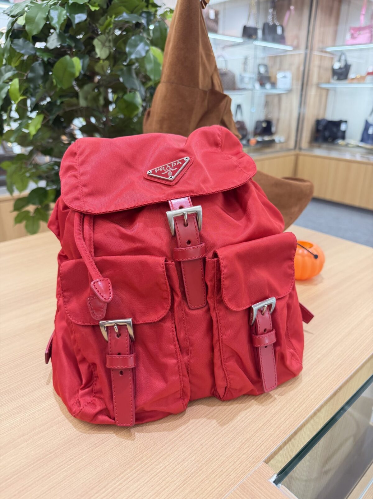 IMG_0339