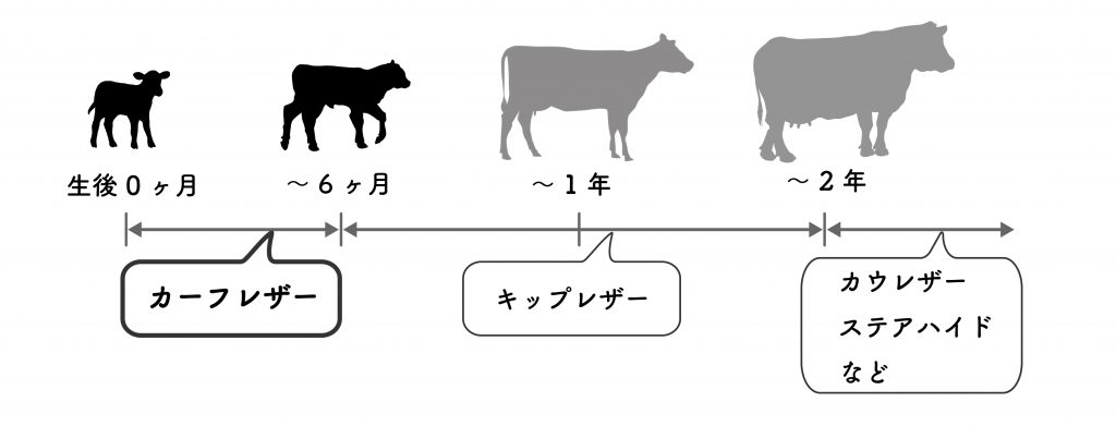 1-100-5-1024x391.jpg
