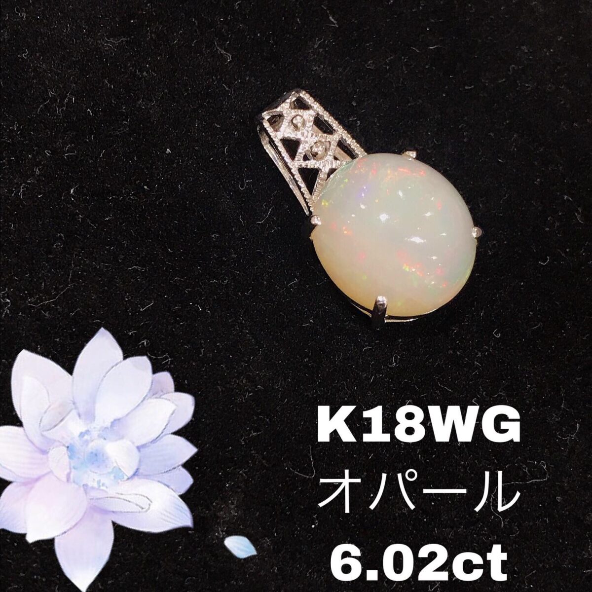 XXNG7423