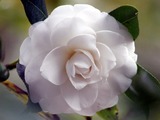 thumb_9546bd5e-8d87-48c2-89c9-b07a98228eab.jpg