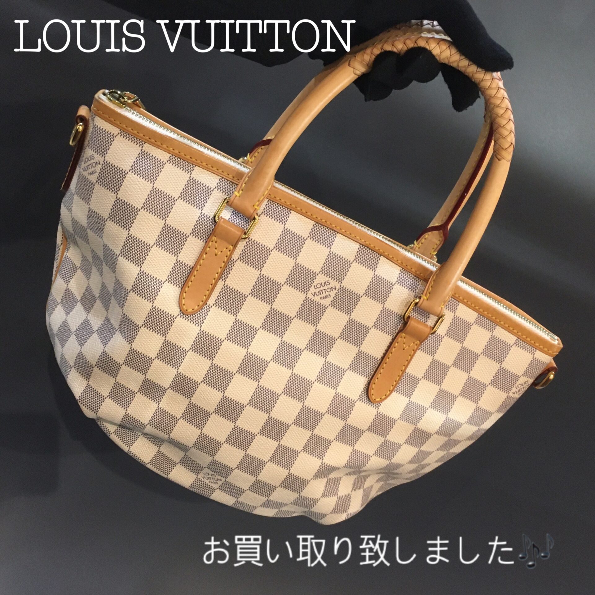 ルイヴィトン LOUIS VUITTON アルトナPM N53315 ダミエ