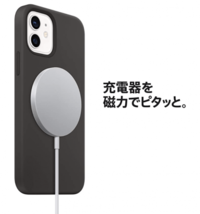 IMG_6037.PNG