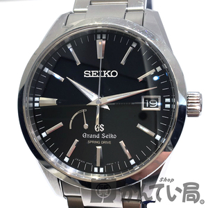 GS_SBGA101top.jpg