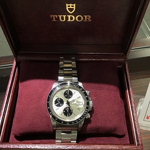 TUDOR79160.JPG