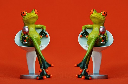 frogs-1397997_960_720.jpg