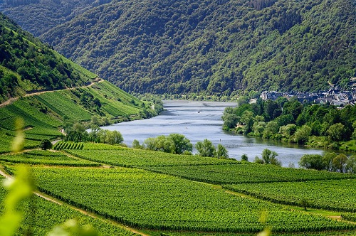 mosel-4336787_960_720.jpg