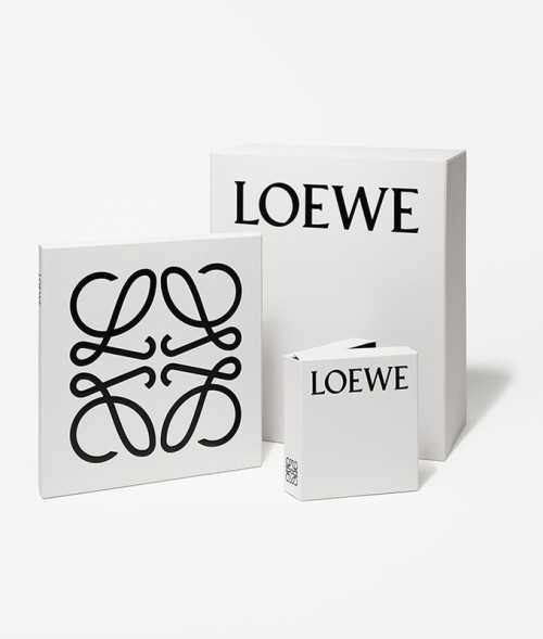 Loewe-PaperBag_Capture_046-e1540794362477.jpg